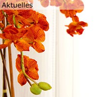 Aktuelles